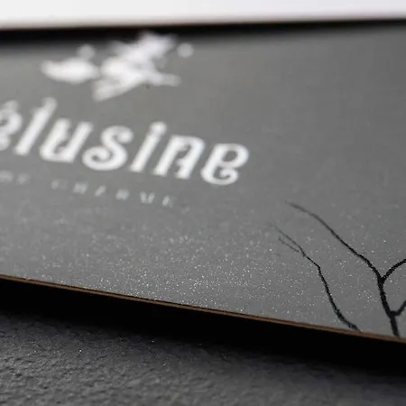La Melusine Avec Privatif Pour 2 Сasa de vacaciones *